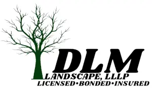 DLM Landscape - logo