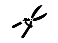 Pruning
